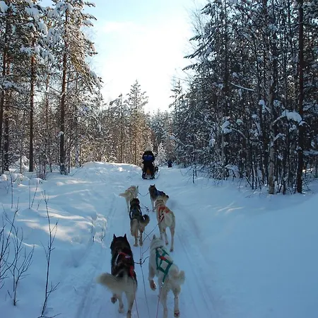 Santa Claus' Elf Shelter Rovaniemi